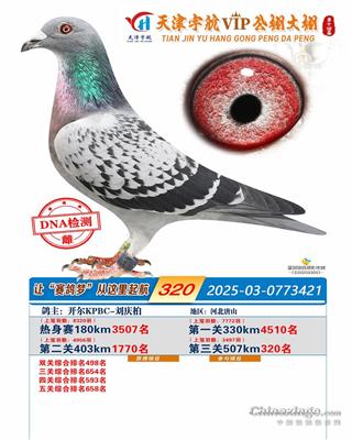 25���������������320��