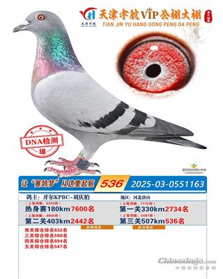 25���������������536��