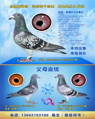 2025�꿪����������ӹ鳲��