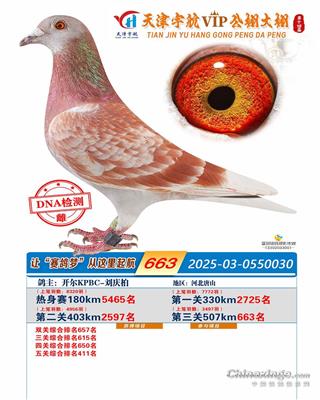 25���������������663��