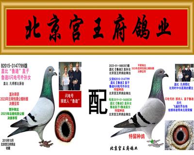 Ѫ�y(t��ng)��