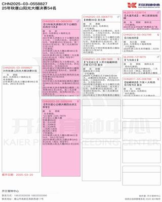 Ѫ�y(t��ng)��