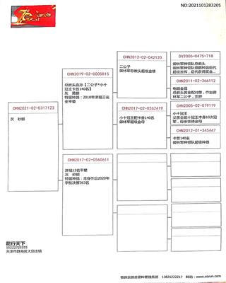 Ѫ�y(t��ng)��