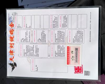 Ѫ�y(t��ng)��