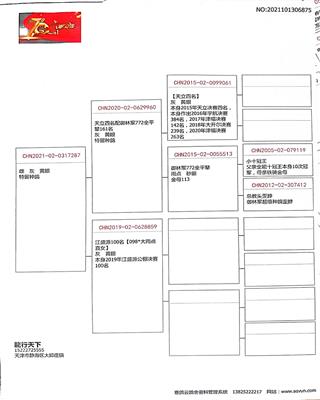 Ѫ�y(t��ng)��