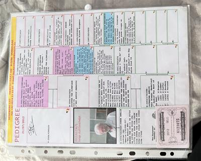 Ѫ�y(t��ng)��