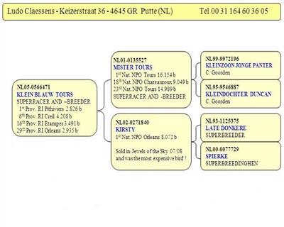 Ѫ�y(t��ng)��