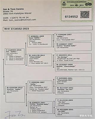 Ѫ�y(t��ng)��