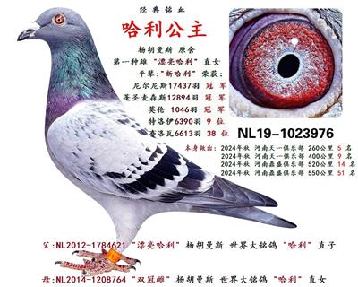 Ѫ�y(t��ng)��