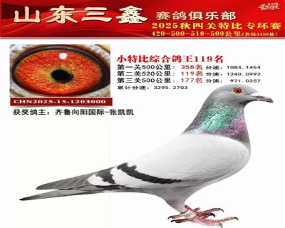 ���ظ���119��