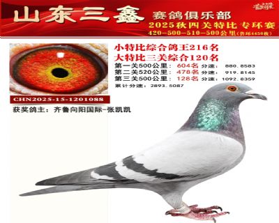 ���ظ���120��