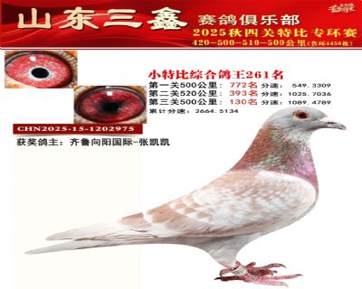 ���ظ���261��