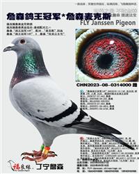 ��ĸ����