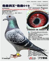 ��ĸ����