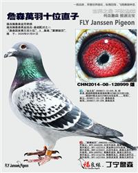 ��ĸ����