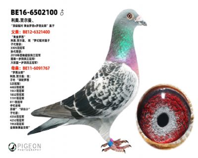 �ƽ�����??����Ů�� ֱ��