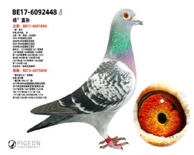 ���� ������