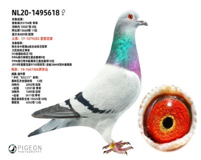 �����ϲ���