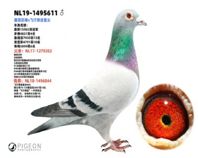 �����ϲ���