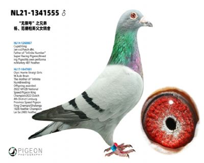 �����˹