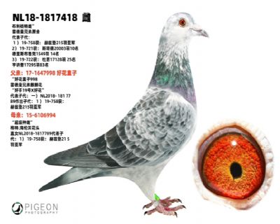 �׵����ֵ�ԭ��