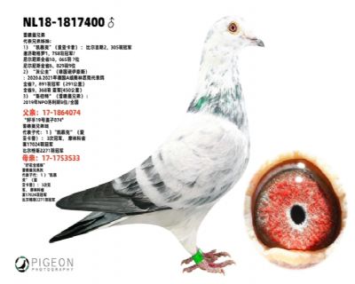 �׵����ֵ�ԭ��