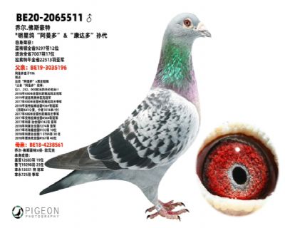 �Ƕ�.��˹����