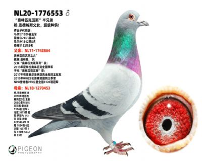 �����˹��Ů