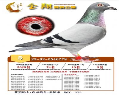 �����ָ�֧Ԯȫ������