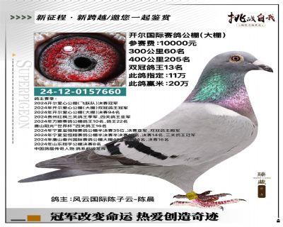 �����ָ�֧Ԯȫ������