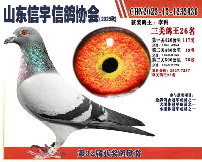 �����ۺϸ���26