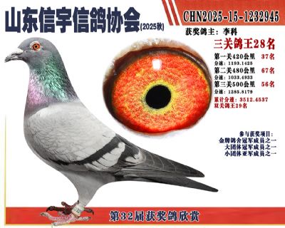 �����ۺϸ���28