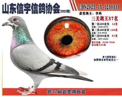 �����ۺϸ���37