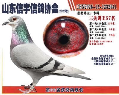 �����ۺϸ���57