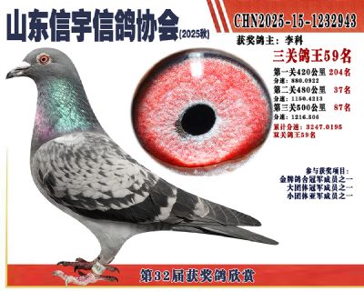 �����ۺϸ���59