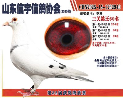 �����ۺϸ���60