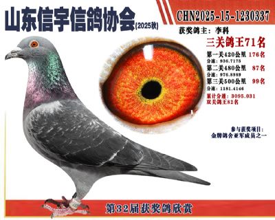 �����ۺϸ���71