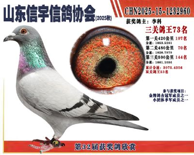 �����ۺϸ���73