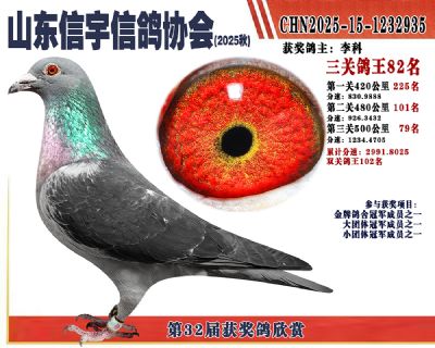 �����ۺϸ���82