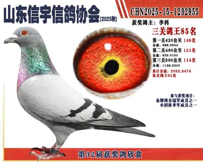 �����ۺϸ���85