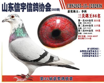 �����ۺϸ���86