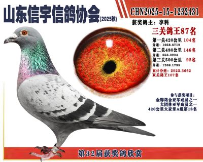 �����ۺϸ���87