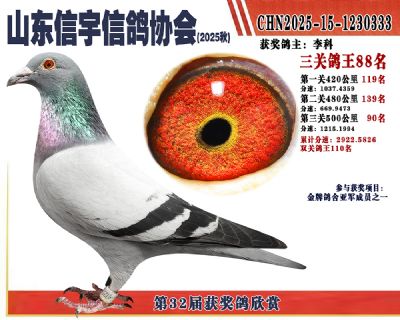 �����ۺϸ���88