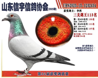 �����ۺϸ���113