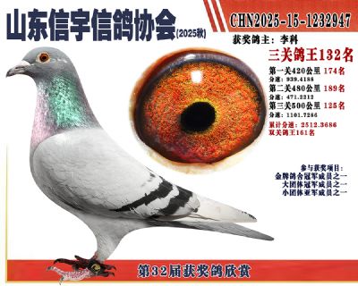 �����ۺϸ���132