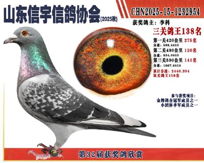 �����ۺϸ���138