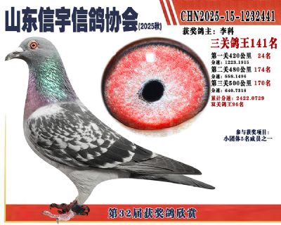 �����ۺϸ���141