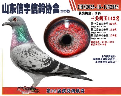 �����ۺϸ���142