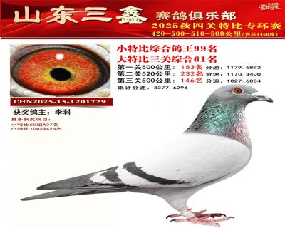 �����ۺϸ���99