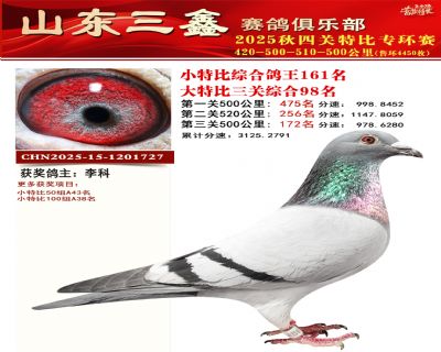 �����ۺϸ���161